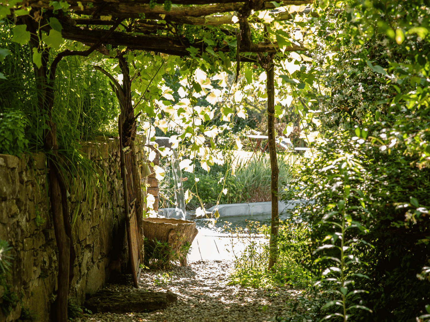 Un chemin ombragé dans un jardin avec des végétaux