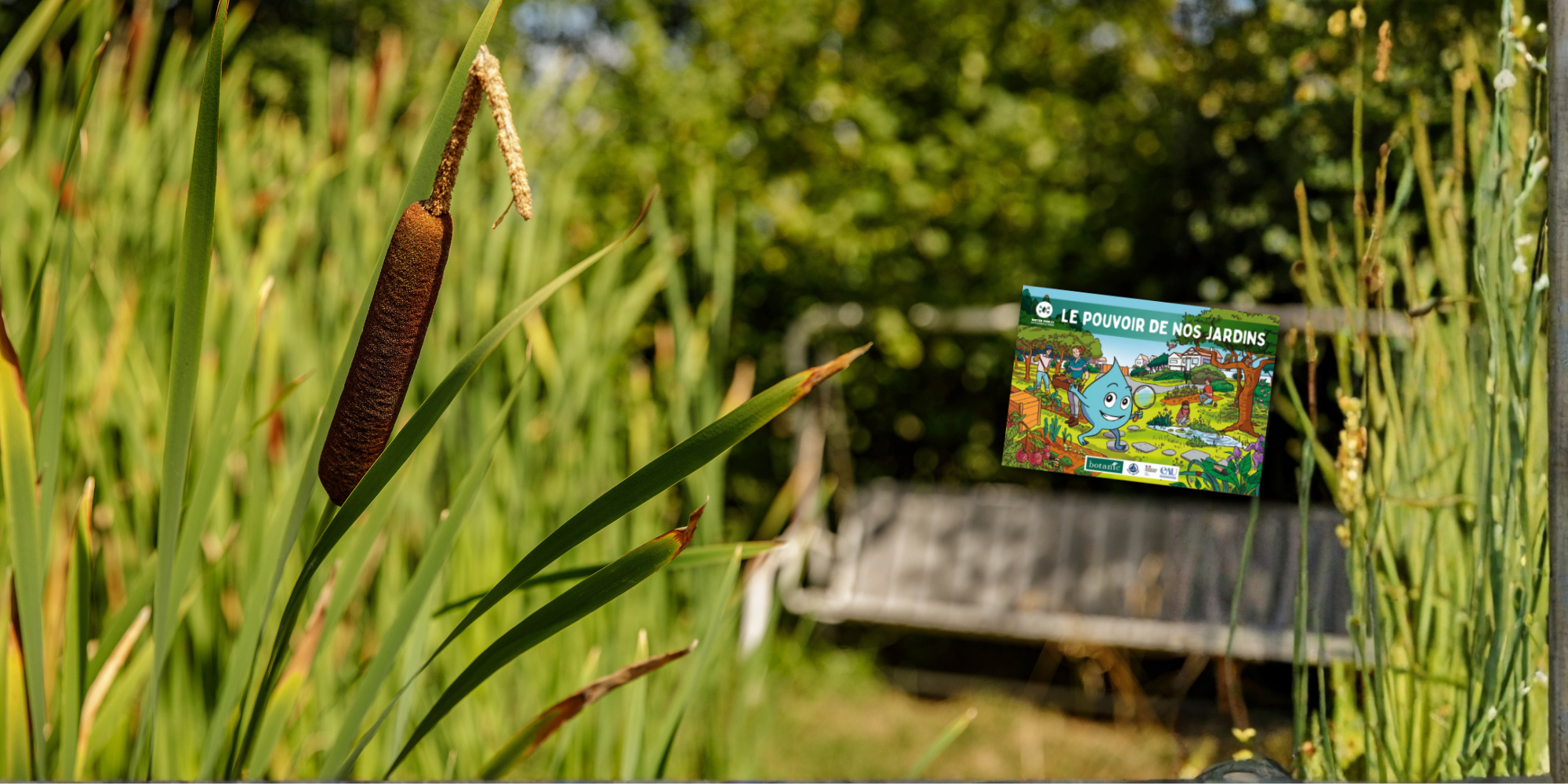 un arrosage de fleurs roses avec la preview du carnet