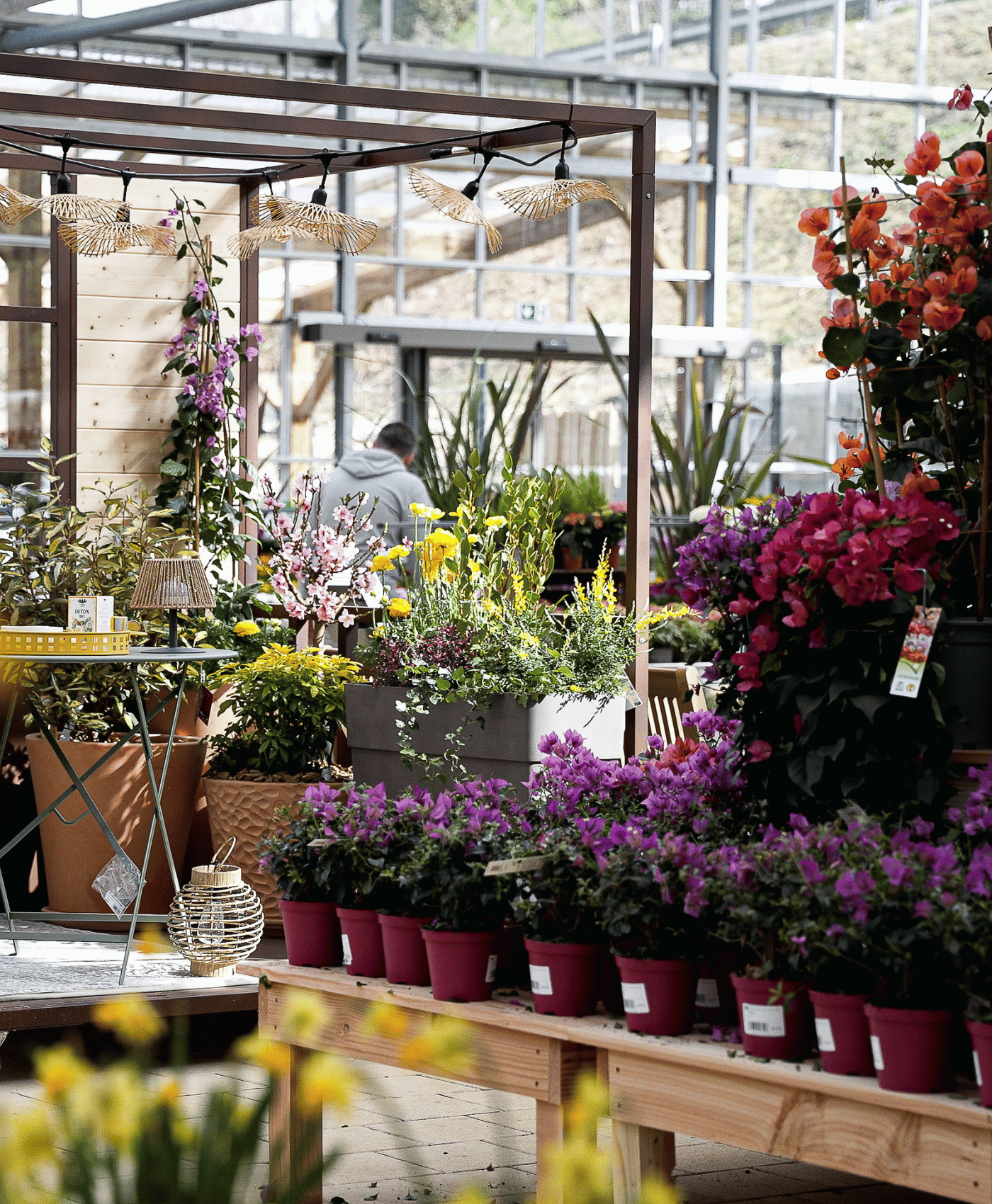 Marché au fleur dans un magasin botanic