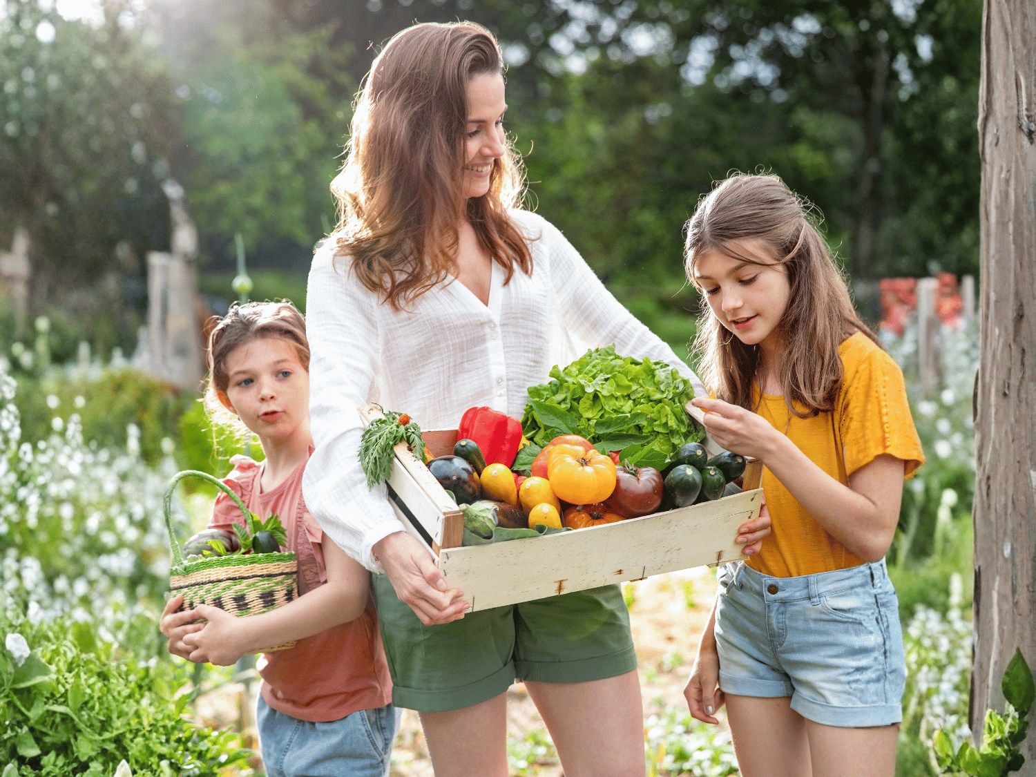 Une famille de femme qui récoltent des légumes d'été