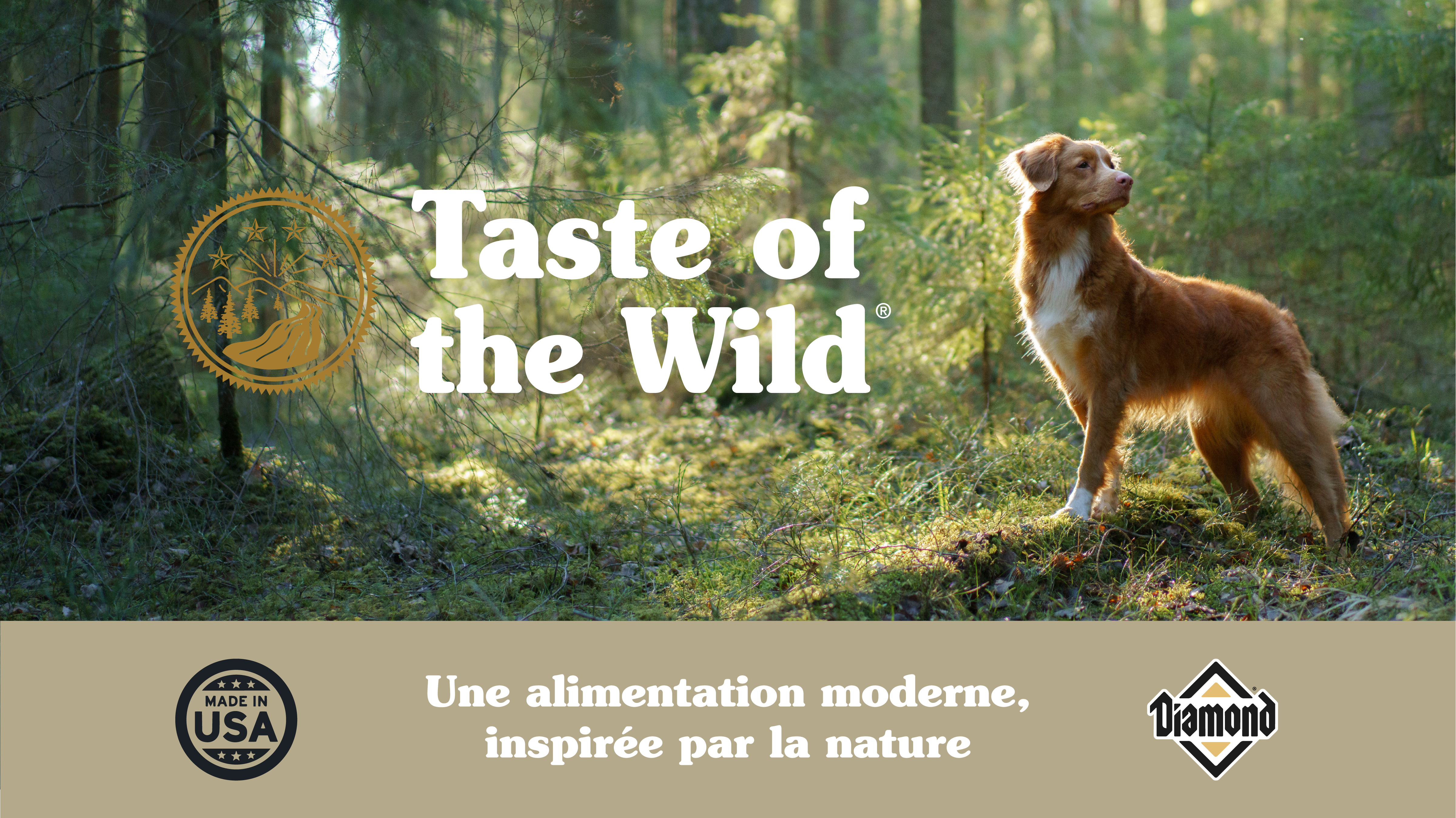 Mise en avant CTA page marque TOTW desktop