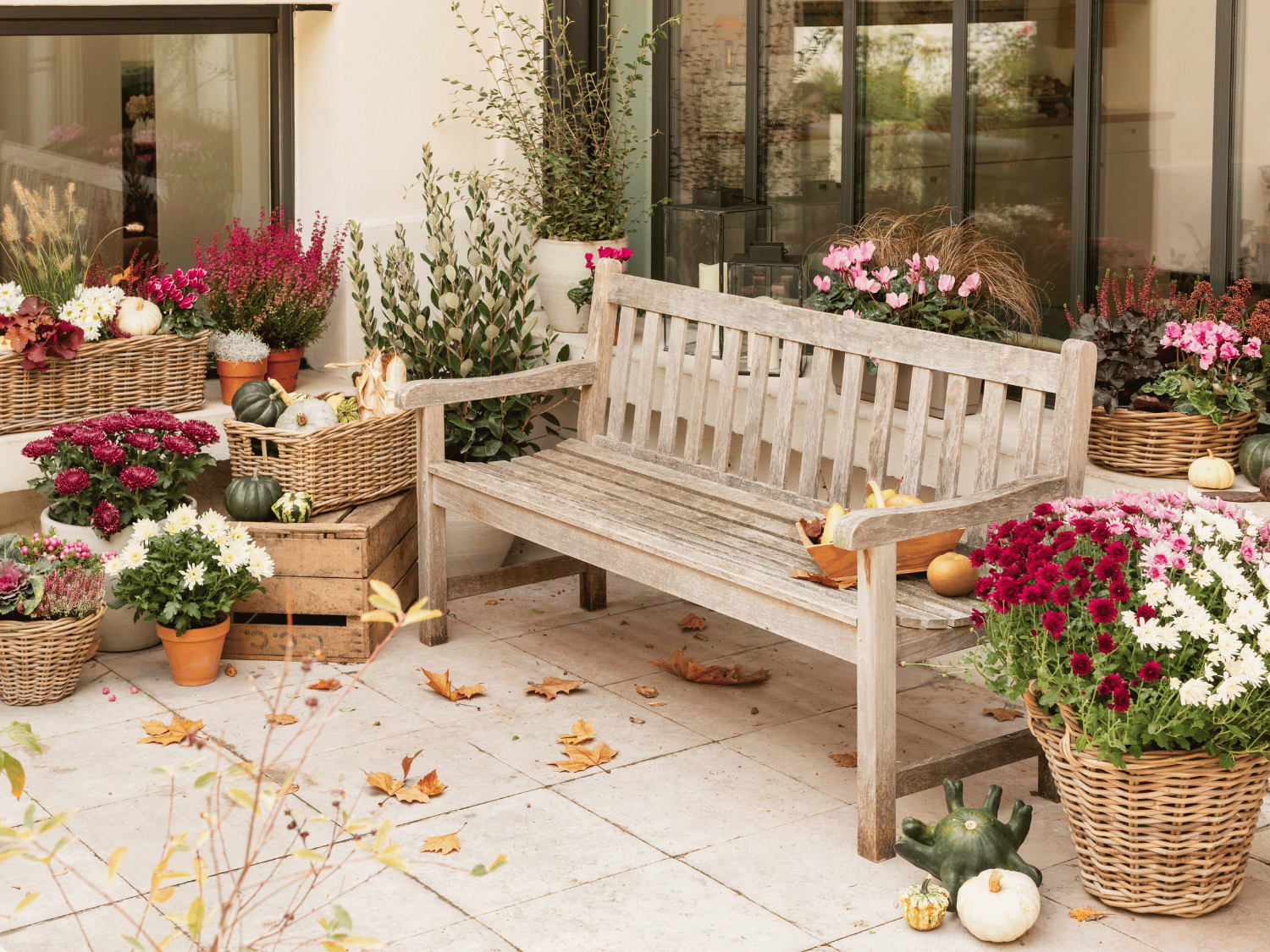 Une terrasse d'automne avec un banc en bois, des chrysanthèmes en pot et des citrouilles