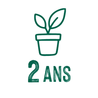 Plantation en pot