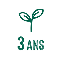 Plantes faciles