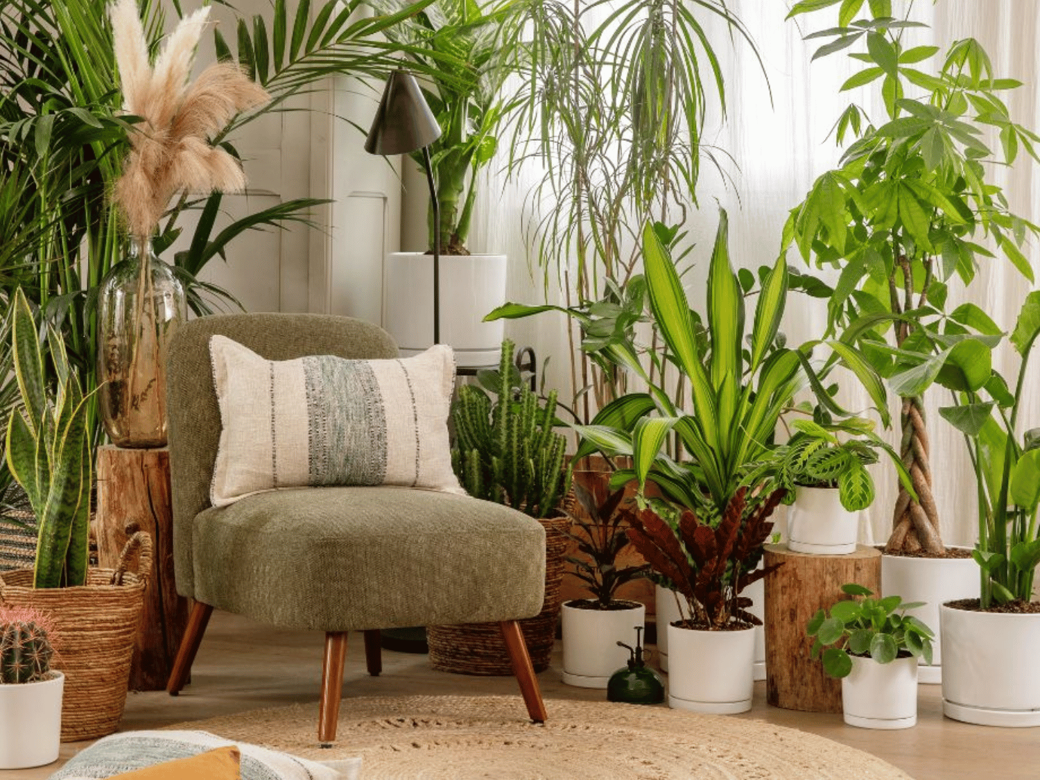 Un salon rempli de plantes d'intérieur avec un fauteuil et un coussin