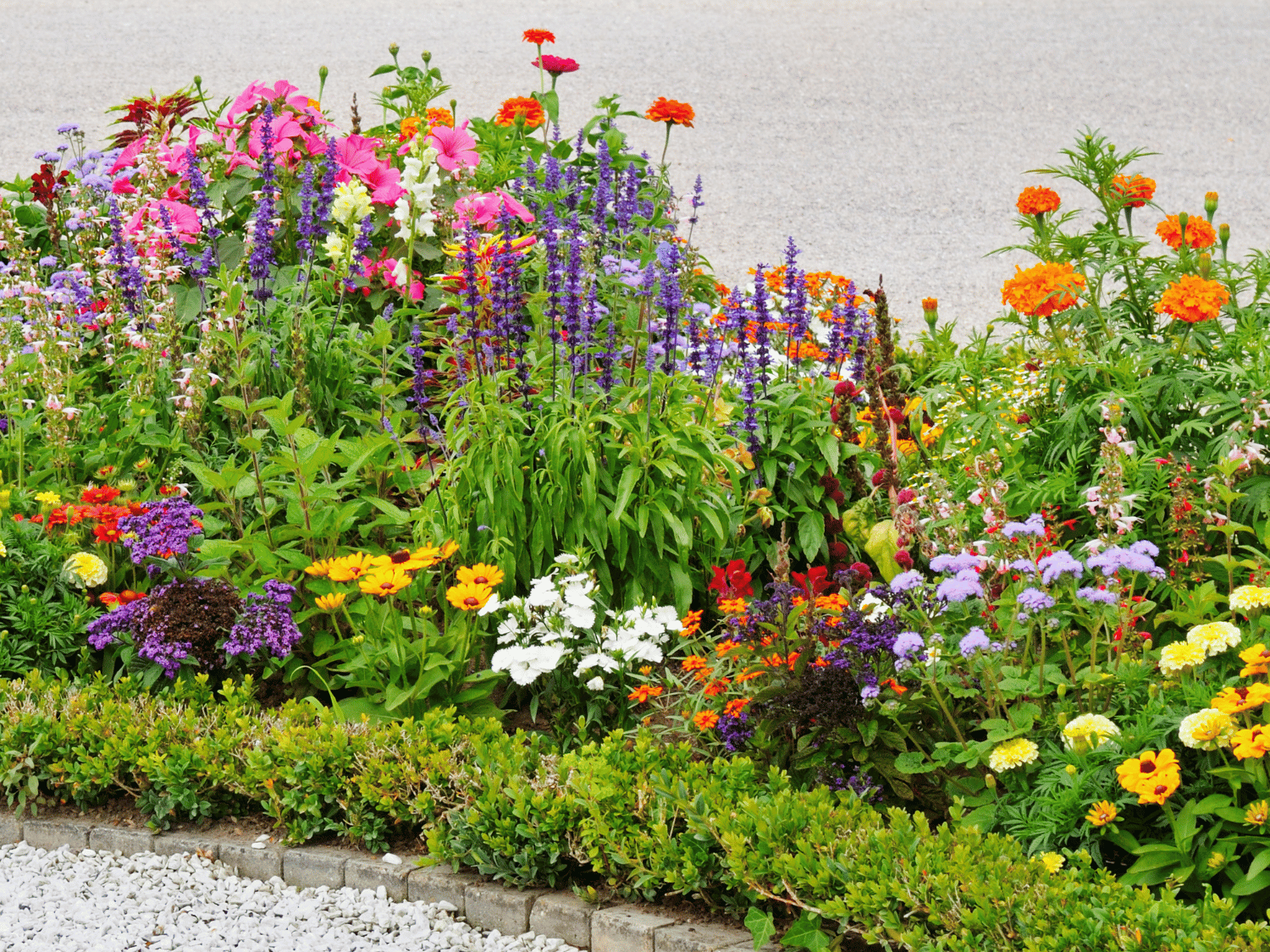 Un massif fleuri dans un jardin