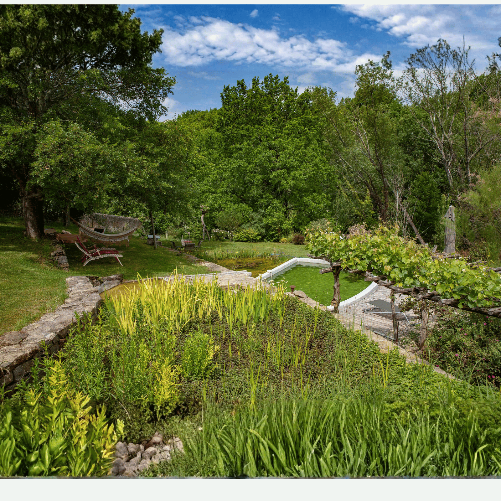 Un jardin responsable avec des arbres et un mare