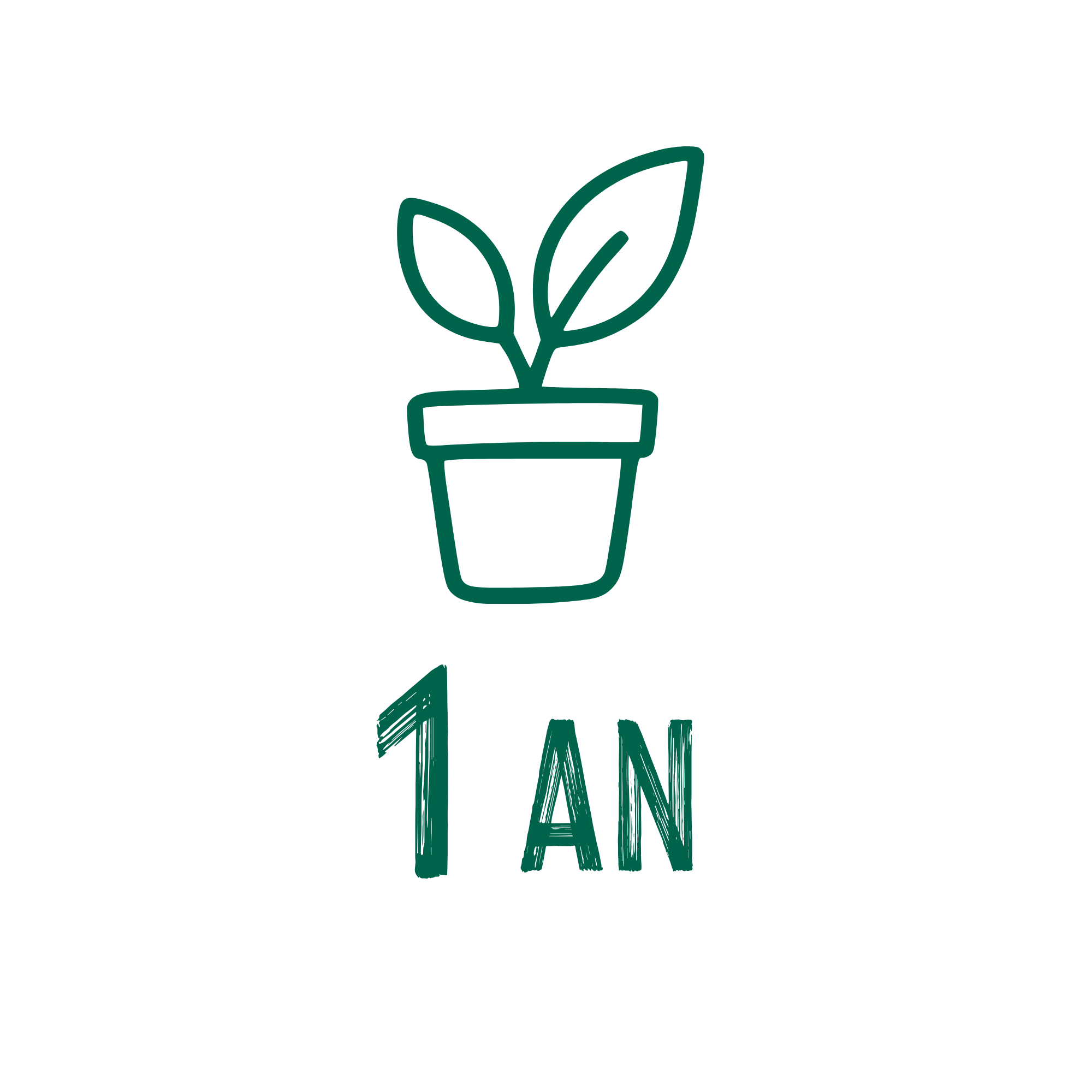 Plantation en pot