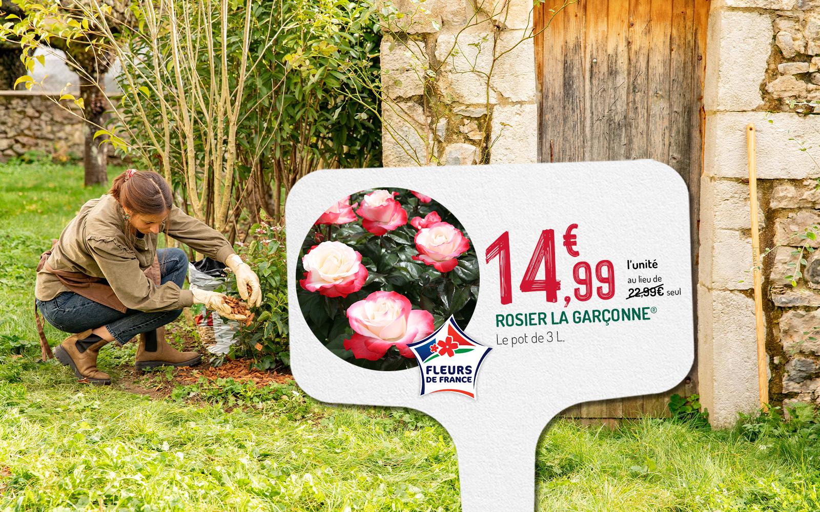 Une femme en train de prendre soin de son jardin en automne