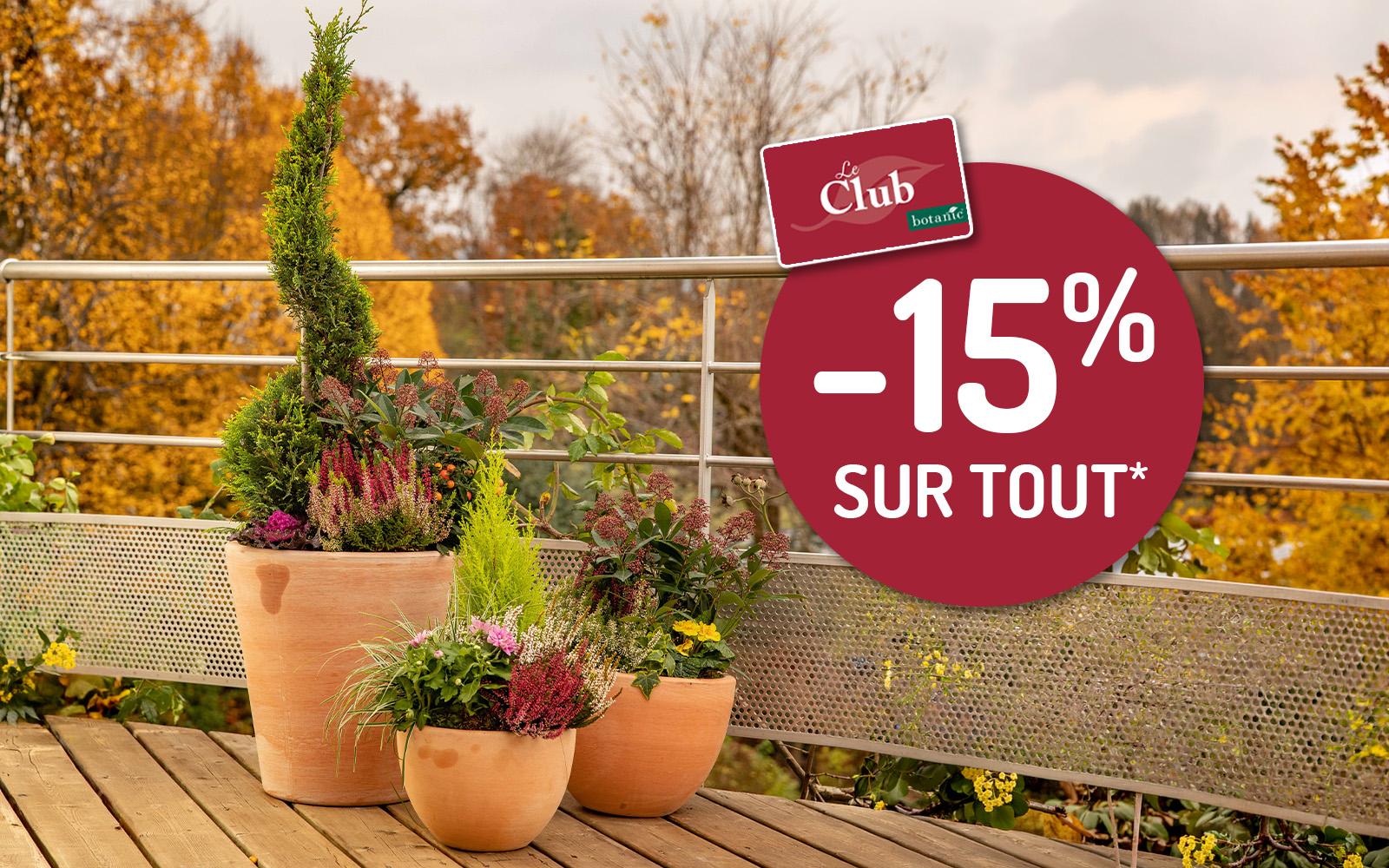 Des plantes en pot sur un balcon en automne