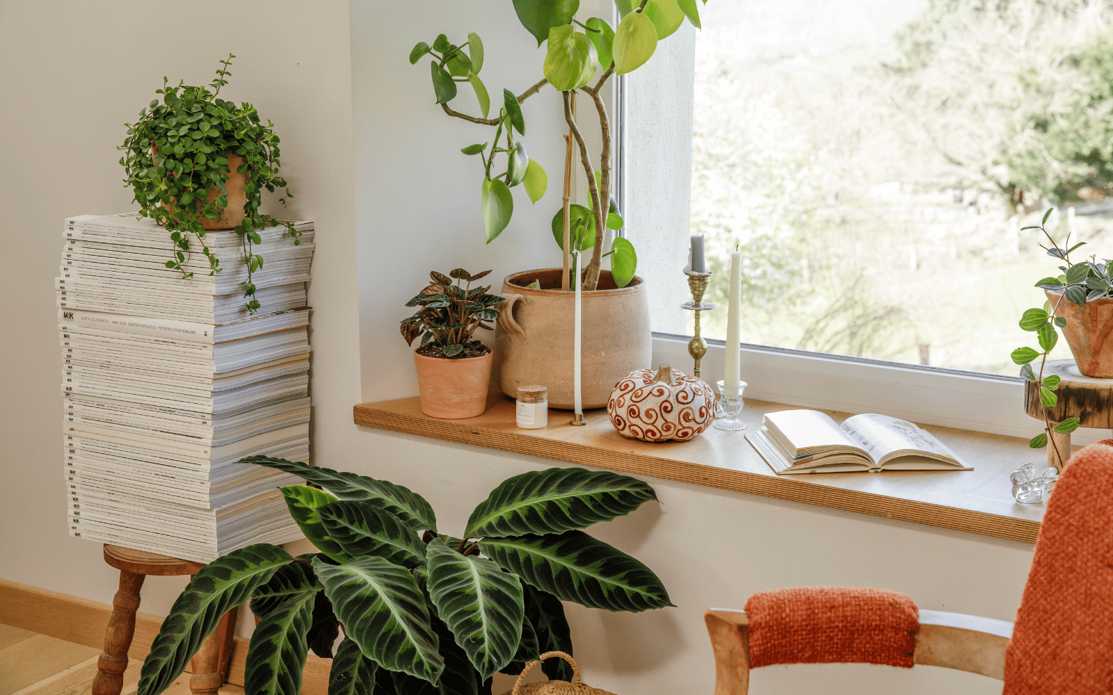 Un salon aux couleurs automnales avec des plantes et un livre en décoration