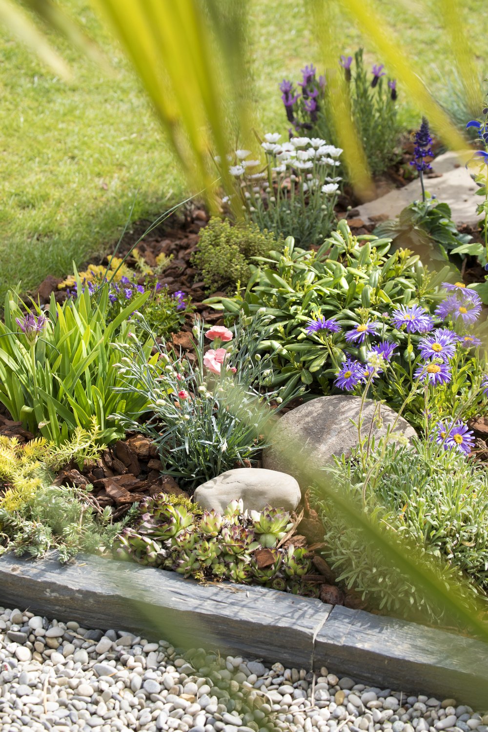 Terreau Plantes D'intérieur Westland - Sans Tourbe - Avec Seramis Et Perlite - Pour Croissance Saine - 12