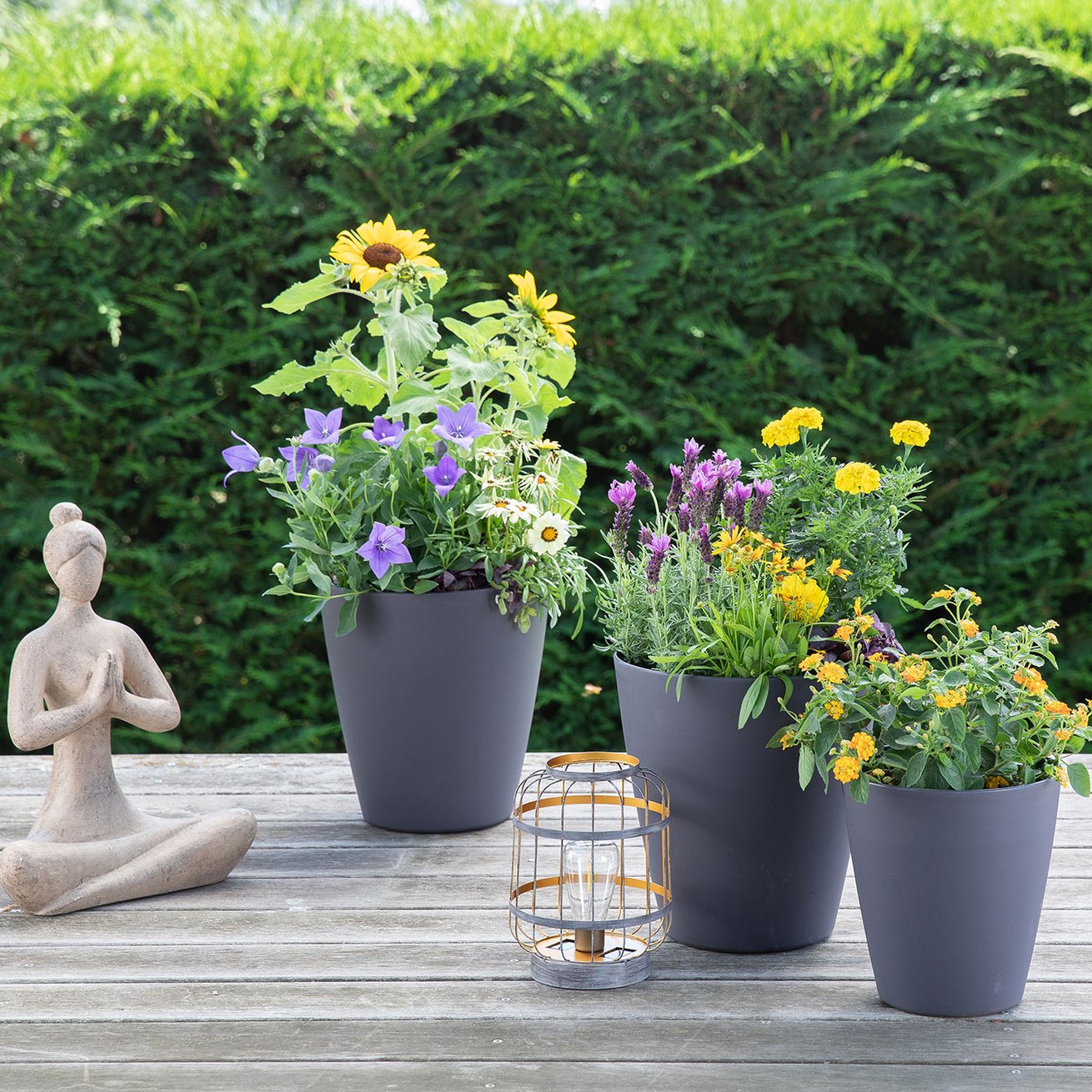 Le Service De Collecte Et Recyclage Des Pots Horticoles Botanic le-service-de-collecte-et-recyclage-des-pots-horticoles-botanic