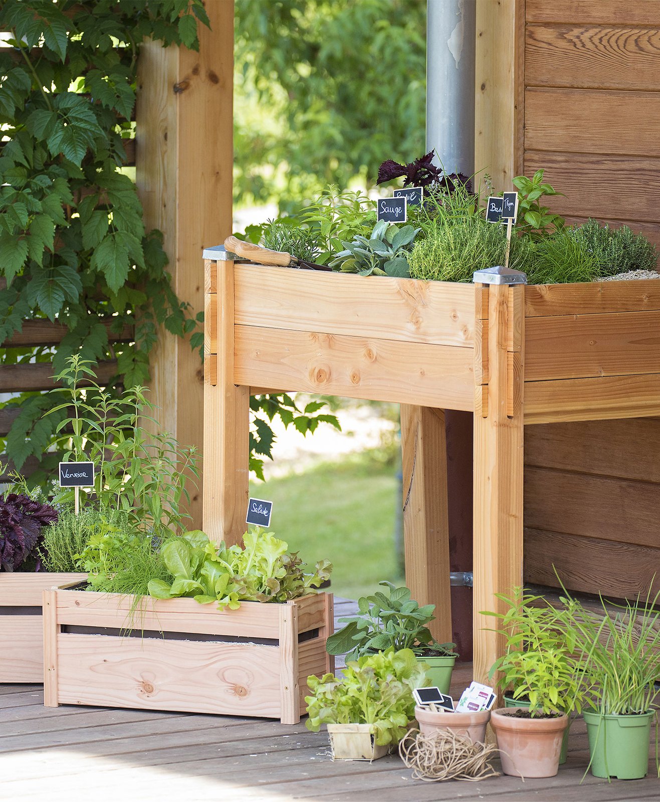 Créer un potager sur mon balcon — free download