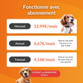 Visuel 9 sur 9
