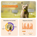 Visuel 5 sur 9