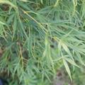 Visuel 2 sur 3