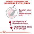Visuel 9 sur 9