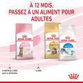 Visuel 6 sur 9