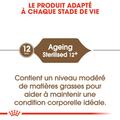 Visuel 5 sur 8