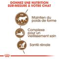 Visuel 7 sur 9