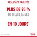 Visuel 8 sur 10