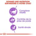 Visuel 5 sur 8