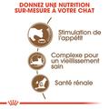 Visuel 5 sur 8