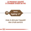Visuel 6 sur 8