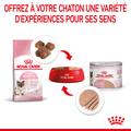 Visuel 3 sur 8