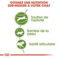 Visuel 5 sur 8