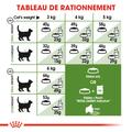 Visuel 7 sur 8