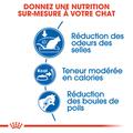 Visuel 5 sur 8