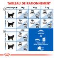 Visuel 7 sur 8