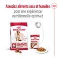 Visuel 6 sur 12