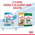 Visuel 6 sur 10