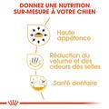 Visuel 5 sur 7