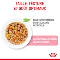 Visuel 4 sur 11