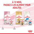 Visuel 6 sur 11