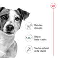 Visuel 5 sur 11