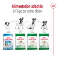 Visuel 6 sur 12