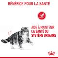 Visuel 5 sur 11
