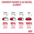 Visuel 8 sur 11