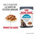 Visuel 3 sur 12