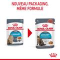 Visuel 7 sur 12