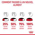 Visuel 9 sur 12