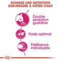 Visuel 5 sur 7