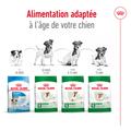 Visuel 9 sur 10