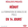 Visuel 5 sur 10