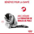 Visuel 9 sur 10
